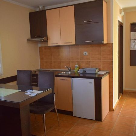 Apartmani Radoicic Josanicka Banja Kültér fotó