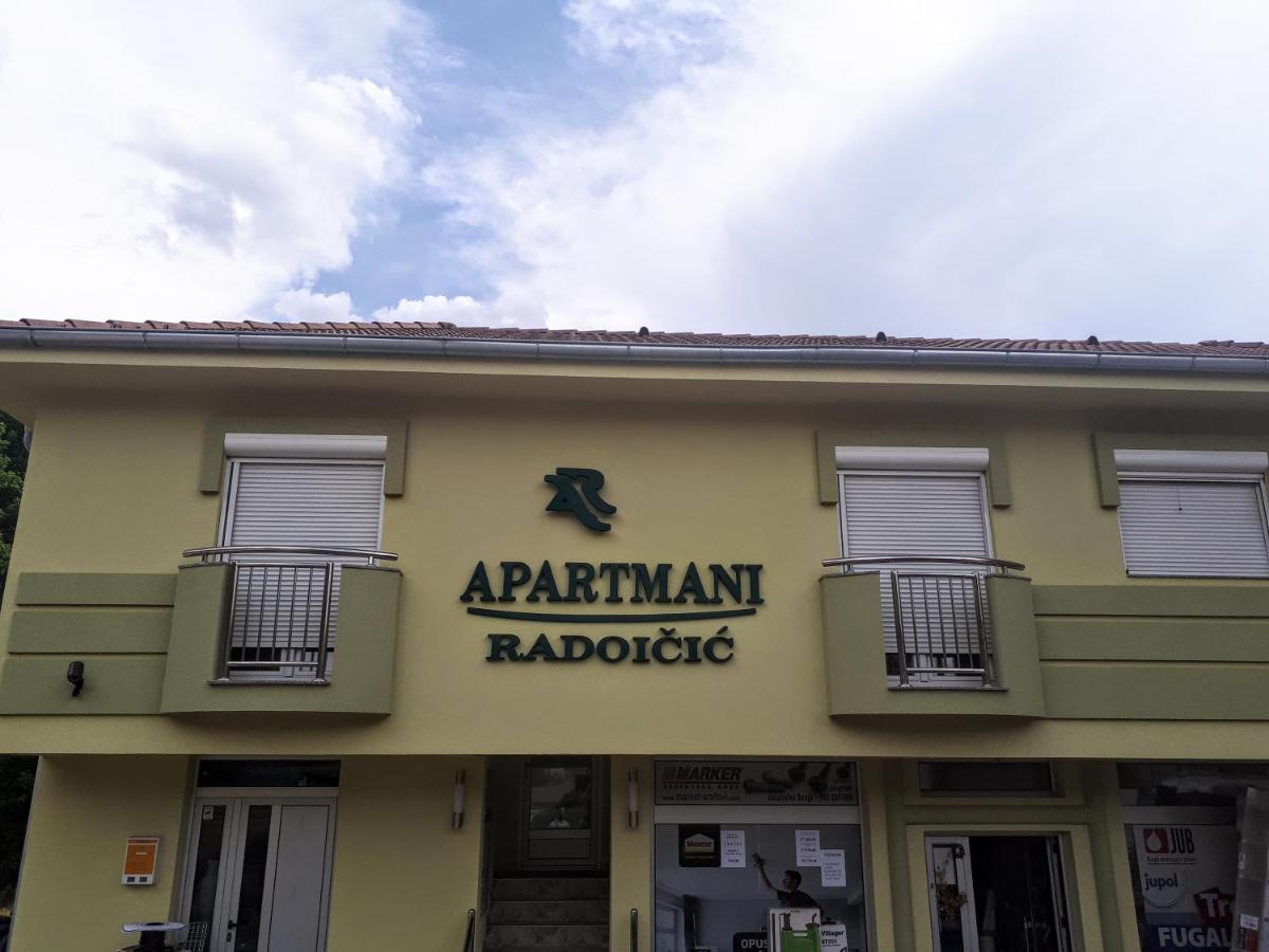 Apartmani Radoicic Josanicka Banja Kültér fotó