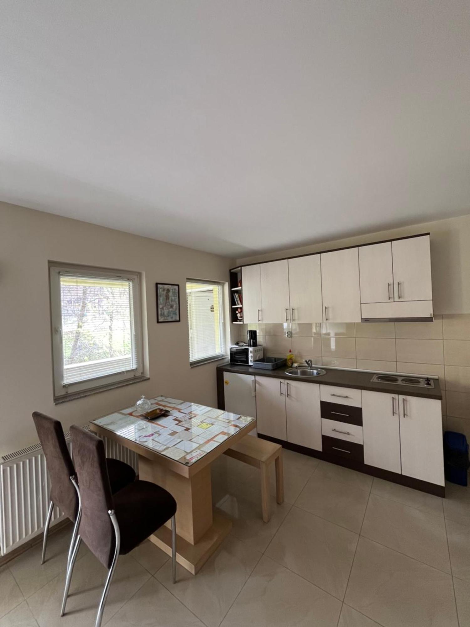 Apartmani Radoicic Josanicka Banja Kültér fotó
