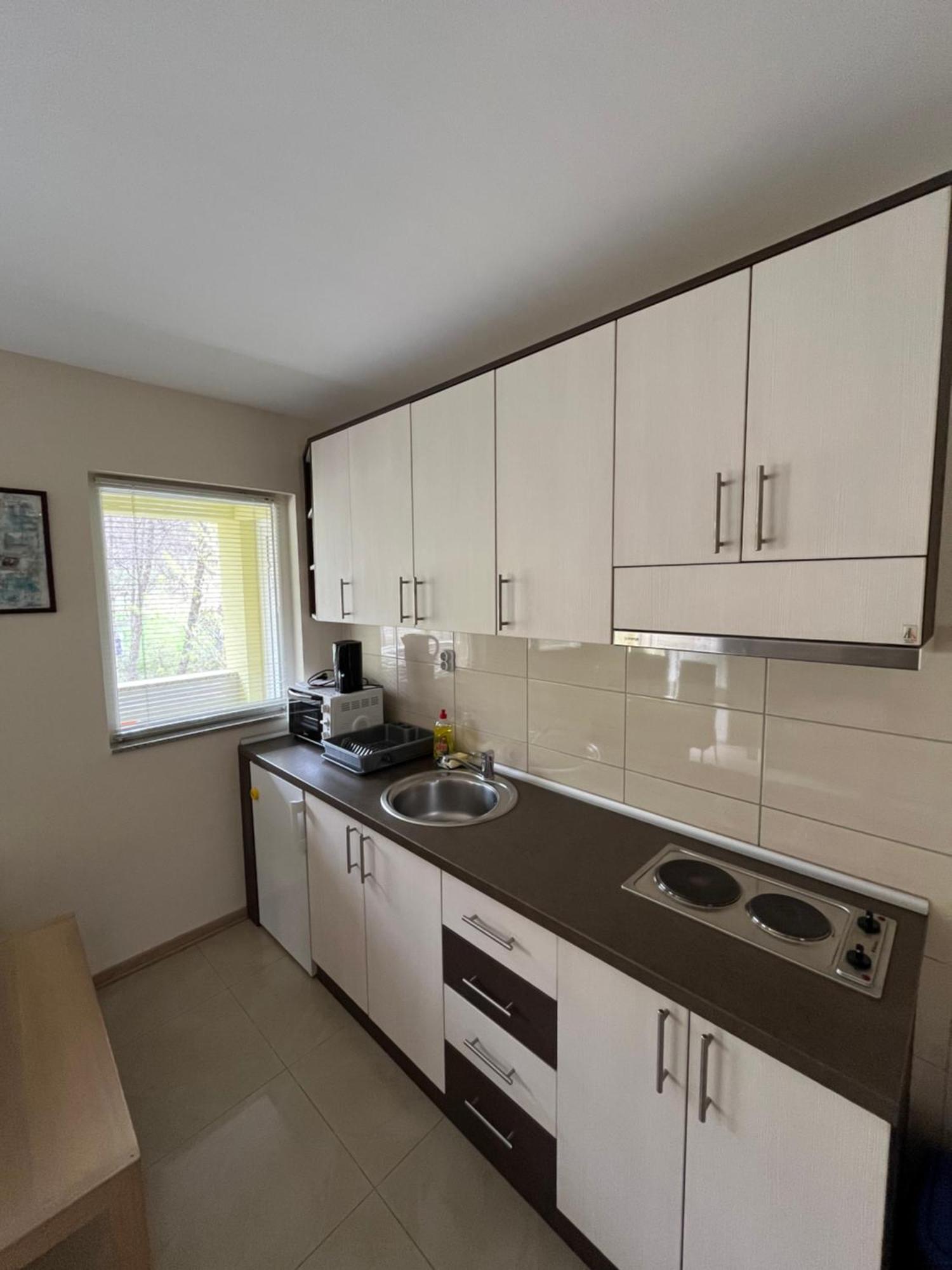 Apartmani Radoicic Josanicka Banja Kültér fotó